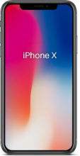 An iPhone X